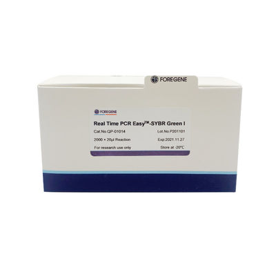 Verde alto do sistema PCR EasyTM-SYBR do Premix da reação do PCR do tempo real da sensibilidade da reaçãoⅠ