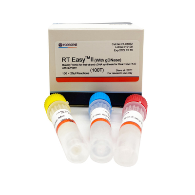 RT EasyTM II com as primeiras demão reversas da transcrição para usar o Premix mestre para o PCR da síntese/tempo real da Primeiro-costa CDNA