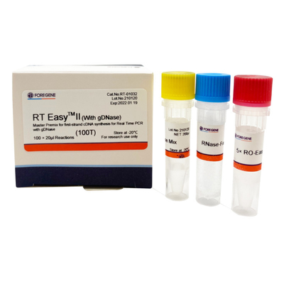 RT EasyTM II com as primeiras demão reversas da transcrição para usar o Premix mestre para o PCR da síntese/tempo real da Primeiro-costa CDNA