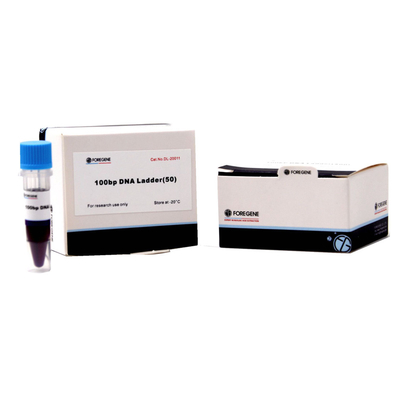 50 Bp a 15 marcadores e escadas do ADN do Kb para a eletroforese do gel do Agarose