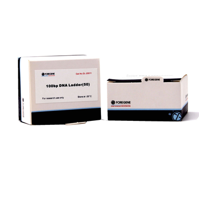 50 Bp a 15 marcadores e escadas do ADN do Kb para a eletroforese do gel do Agarose