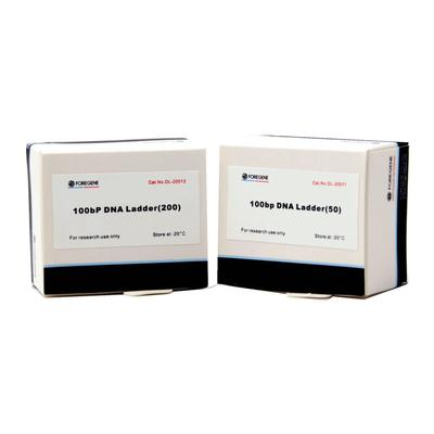 50 Bp a 15 marcadores e escadas do ADN do Kb para a eletroforese do gel do Agarose