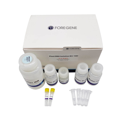 Contaminação do RNase de Kit With No do isolamento do ADN da planta do reagente de laboratório da biologia molecular