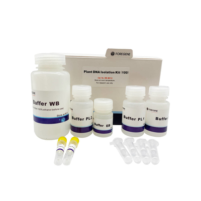 Contaminação do RNase de Kit With No do isolamento do ADN da planta do reagente de laboratório da biologia molecular