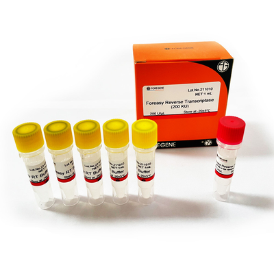 Reverso Transcriptase de Foreasy M-MLV para jogos do PCR da extensão da primeira demão da síntese de CDNA com polimerase de ADN