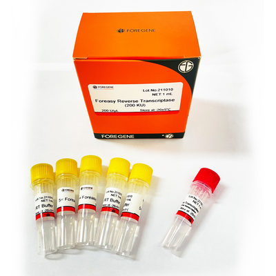 Reverso Transcriptase de Foreasy M-MLV para jogos do PCR da extensão da primeira demão da síntese de CDNA com polimerase de ADN