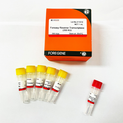 Reverso Transcriptase de Foreasy M-MLV para jogos do PCR da extensão da primeira demão da síntese de CDNA com polimerase de ADN