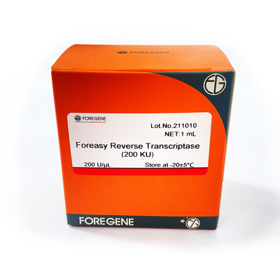Reverso Transcriptase de Foreasy M-MLV para jogos do PCR da extensão da primeira demão da síntese de CDNA com polimerase de ADN