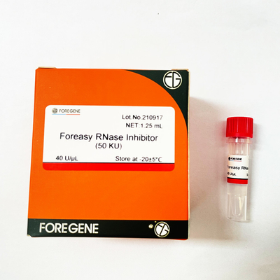 Inibidor do RNase de Foreasy da proteção do RNA para jogos reversos da transcrição do sistema da transcrição