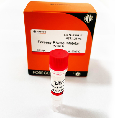 Inibidor do RNase de Foreasy da proteção do RNA para jogos reversos da transcrição do sistema da transcrição
