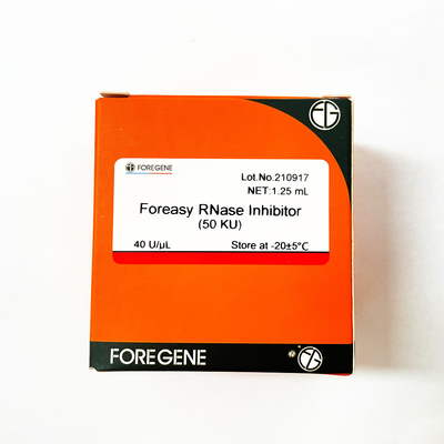 Inibidor do RNase de Foreasy da proteção do RNA para jogos reversos da transcrição do sistema da transcrição