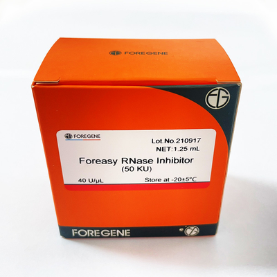 Inibidor do RNase de Foreasy da proteção do RNA para jogos reversos da transcrição do sistema da transcrição