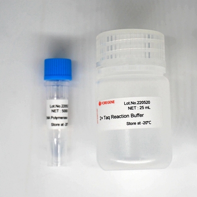 Polimerase Kit For PCR/QPCR de HotStar Taq da polimerase de ADN de Foreasy Taq
