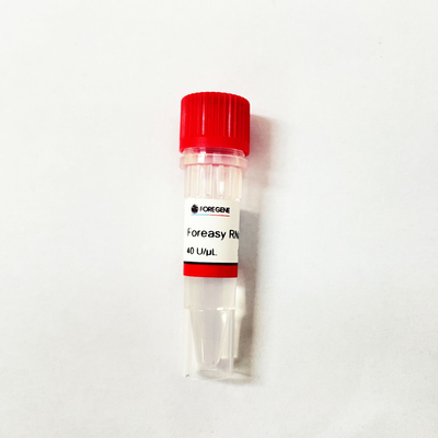 Inibidor alto do RNase de Foreasy da produção da fábrica de China IVD para a proteção do RNA
