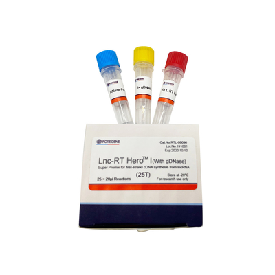 Lnc-RT HeroTM mim (com gDNase) Premix super para a síntese do cDNA da primeiro-costa do lncRNA Cat.No.RTL-09098/09099