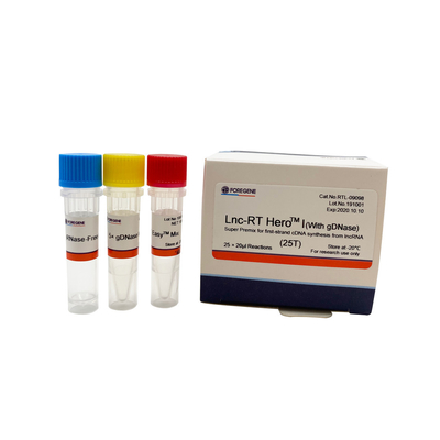 Lnc-RT HeroTM mim (com gDNase) Premix super para a síntese do cDNA da primeiro-costa do lncRNA Cat.No.RTL-09098/09099