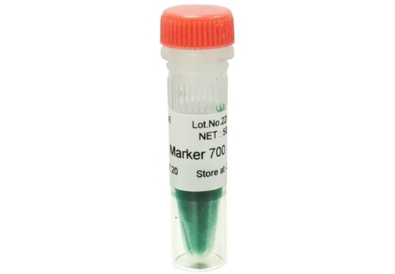 Escada 700bp do ADN do jogo do PCR do gel do Agarose do marcador do ADN para testes da biologia molecular