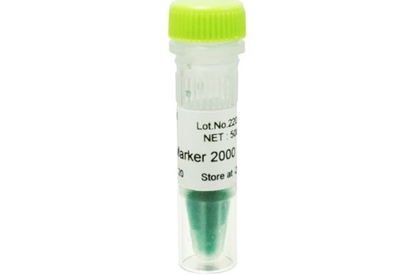escada do ADN do jogo do PCR do gel do Agarose do marcador do ADN 2000bp para a pesquisa