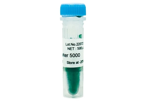 Escada 5000bp do ADN do jogo do PCR do gel do Agarose do marcador do ADN para testes da biologia molecular da pesquisa