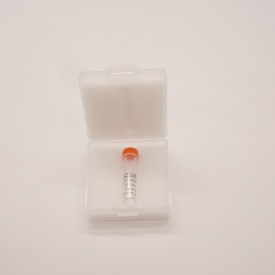 Sonda separada de duas cores BCL6 para detectar anormalidades do gene BCL6 humano