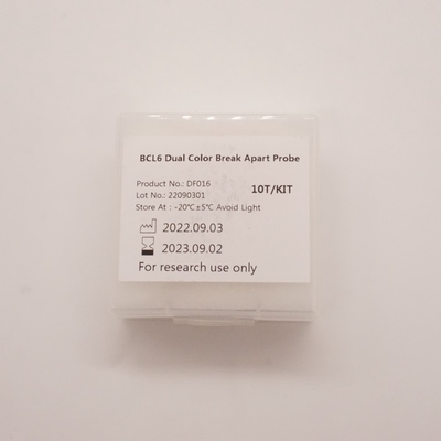 Sonda separada de duas cores BCL6 para detectar anormalidades do gene BCL6 humano
