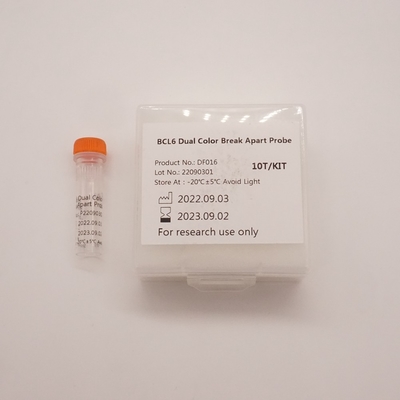 Sonda separada de duas cores BCL6 para detectar anormalidades do gene BCL6 humano