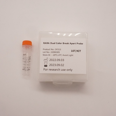 Sonda separada RARA de duas cores para detectar anormalidades do gene RARA humano