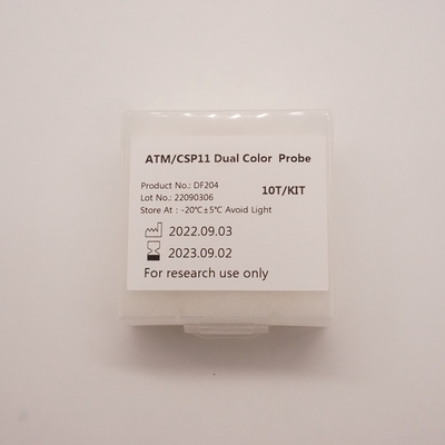 Sonda de dupla cor ATM/CSP11 para detecção de anormalidade do gene humano ATM(11q22)