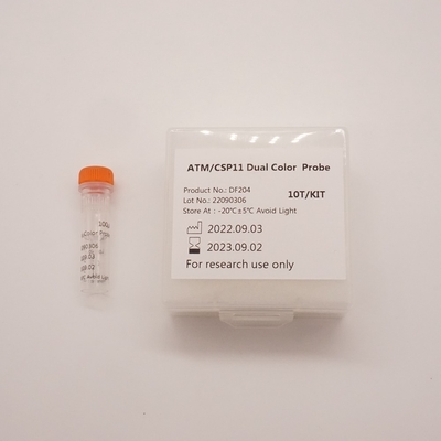 Sonda de dupla cor ATM/CSP11 para detecção de anormalidade do gene humano ATM(11q22)