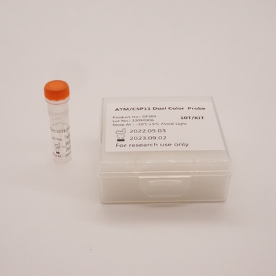 Sonda de dupla cor ATM/CSP11 para detecção de anormalidade do gene humano ATM(11q22)