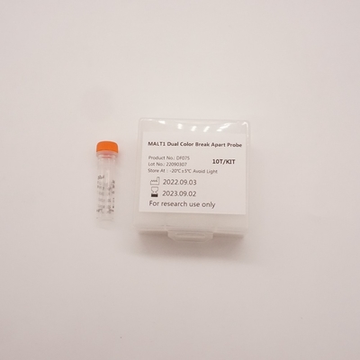 Sonda MALT1 Dual Color Break Apart para detectar anormalidades do gene MALT1 humano