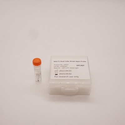 Sonda MALT1 Dual Color Break Apart para detectar anormalidades do gene MALT1 humano