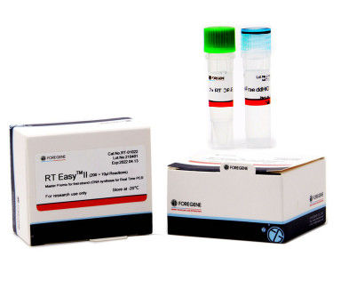 Síntese Kit High Sensitivity da costa CDNA do Transcriptor do PCR do tempo real primeira