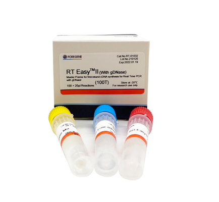 Jogos fáceis rápidos de Transcriptase do reverso II 25T do RT com o DNase para o PCR do tempo real