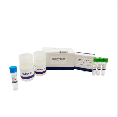 A planta sae de componentes diretos do Polyphenol do PCR Kit Containing Low Polysaccharide And para plantas transgênicas