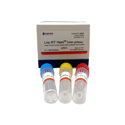 Lnc-RT HeroTM mim (com gDNase) (Premix super para a síntese do cDNA da primeiro-costa do lncRNA)