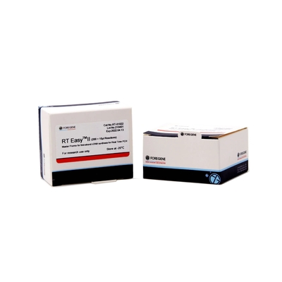 Premix mestre do sistema RT da transcrição II fácil reverso para a síntese do cDNA do produto do PCR do tempo real