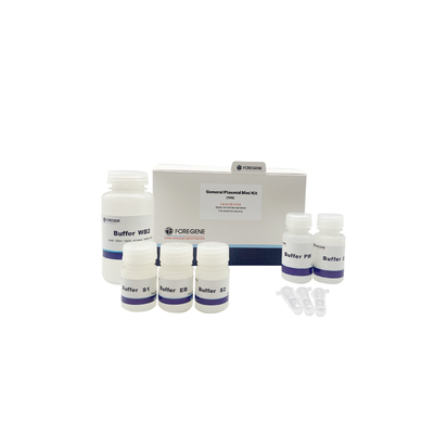 Extração do ADN de Kit Purification Column Plasmid do isolamento do ADN do plasmídeo geral mini