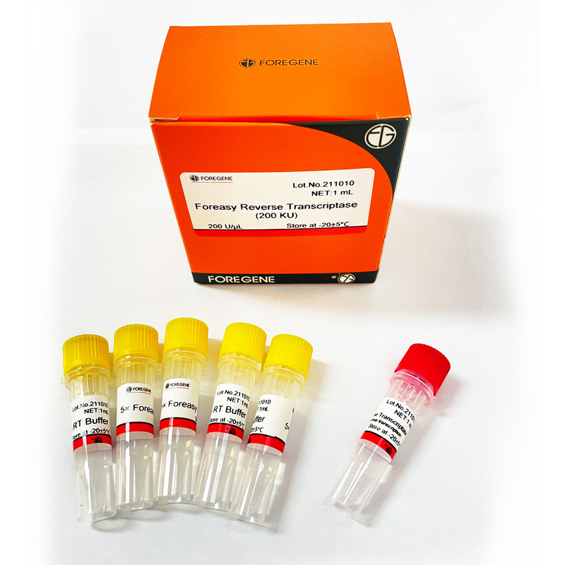 Reverso Transcriptase de Foreasy M-MLV para jogos do PCR da extensão da primeira demão da síntese de CDNA com polimerase de ADN