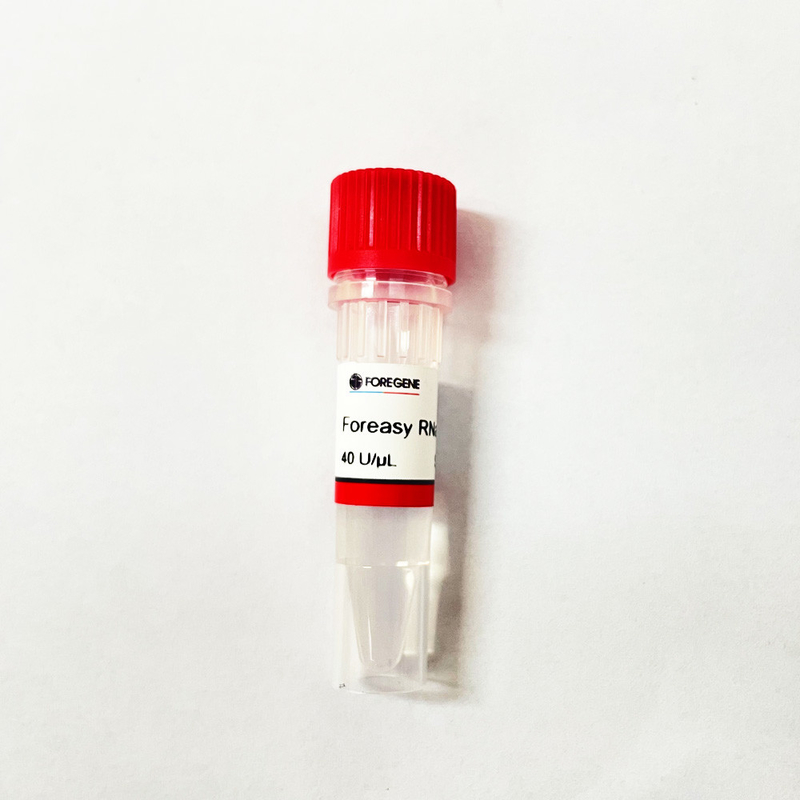 Inibidor alto do RNase de Foreasy da produção da fábrica de China IVD para a proteção do RNA