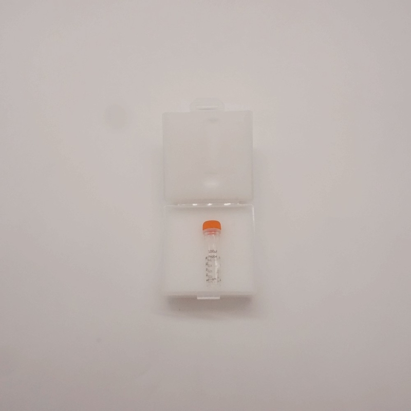 Sonda de duas cores MYC/IGH para detectar anormalidades do gene humano MYC/IGH