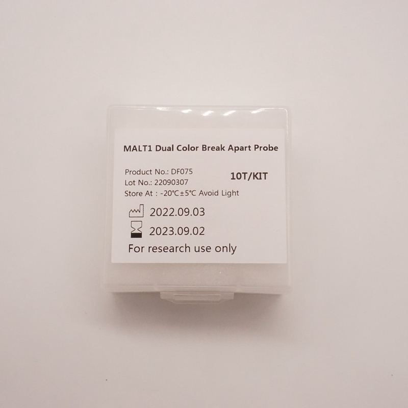 Sonda MALT1 Dual Color Break Apart para detectar anormalidades do gene MALT1 humano