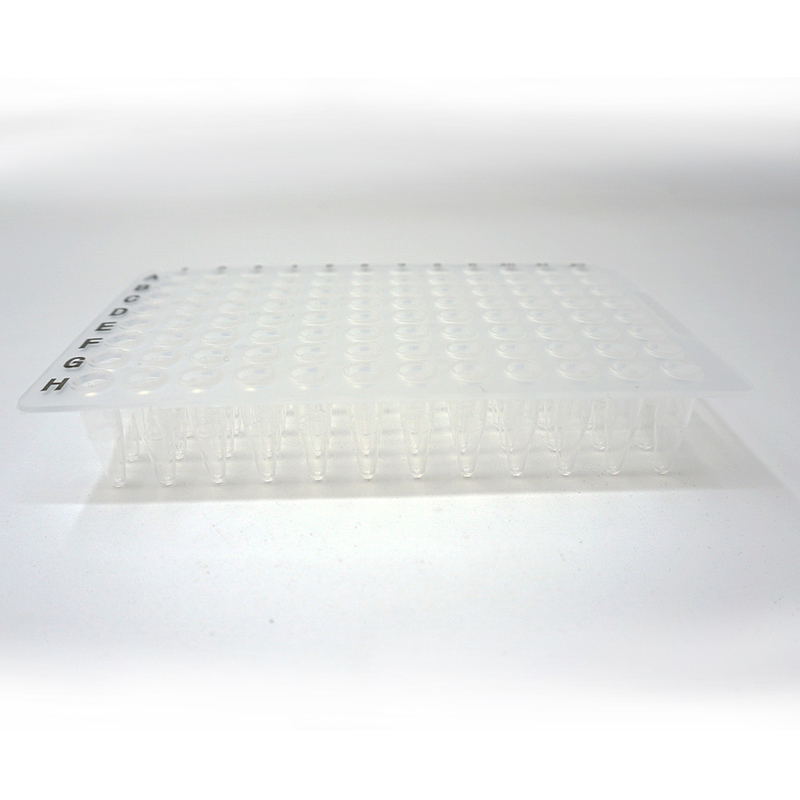 Foregene 10 chapeia a placa boa 100ul 200ul do PCR de Kit Lab Consumables Transparent 96