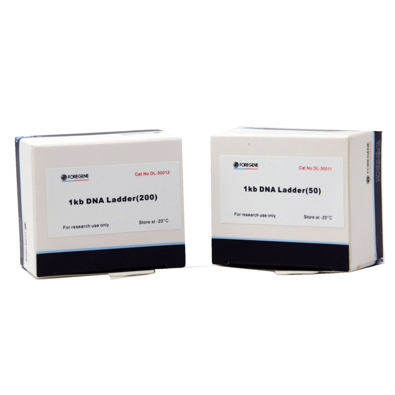 5% Glycerinum 0,02% jogos do PCR da escada do ADN de BPB 1kb para o uso da pesquisa do laboratório