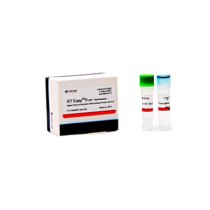 Premix mestre do sistema RT da transcrição II fácil reverso para a síntese do cDNA do produto do PCR do tempo real