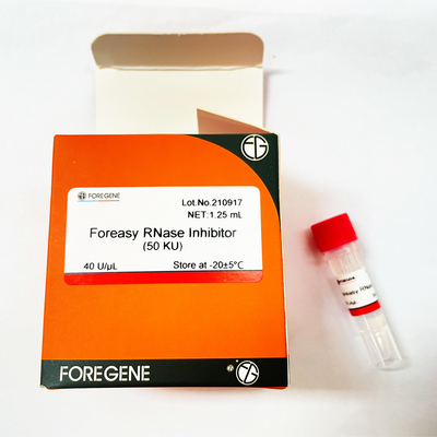 Inibidor do RNase de Foreasy da proteção do RNA para jogos reversos da transcrição do sistema da transcrição