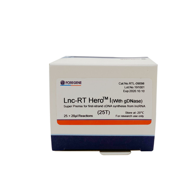 Lnc-RT HeroTM mim (com gDNase) Premix super para a síntese do cDNA da primeiro-costa do lncRNA Cat.No.RTL-09098/09099