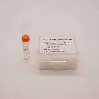 Sonda separada de duas cores BCL6 para detectar anormalidades do gene BCL6 humano