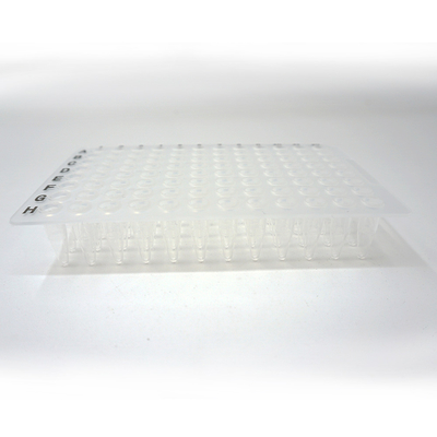 Foregene 10 chapeia a placa boa 100ul 200ul do PCR de Kit Lab Consumables Transparent 96